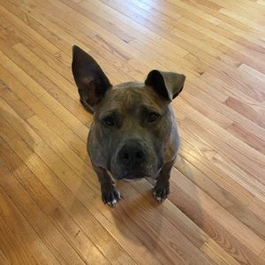 Meet your Posher, Beth